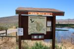 Middle Marsh Dike, Pahranagat National Wildlife Refuge, Nevada