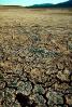 Cracked Earth, dried mud, desiccated lake floor, NSNV01P04_01.2570