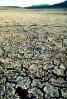 Cracked Earth, dried mud, desiccated lake floor, NSNV01P04_01