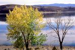 Deciduous Trees, Lake, autumn, NSNV02P02_16