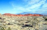 Red Rock Canyon National Conservation Area, (RRCNCA), Mojave Desert, NSNV02P11_19
