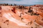 fractals, Erosion, Weathering, Bryce Canyon National Park