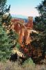 Bryce Canyon National Park, NSUV03P05_02
