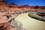 Colorado River, Sandstone Cliff, trees, stratum, strata, layered, sedimentary rock, silt, mud, muddy, Canyonlands National Park, NSUV03P14_01
