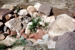 Rocks, Boulders, Colorado River, Canyonlands National Park, NSUV04P02_07