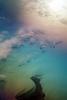 Great Salt Lake, Clouds, Chromatic sun, water, NSUV04P07_03