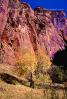 Sandstone Cliffs, Cliff, Stone, Zion National Park, NSUV04P14_05.2571