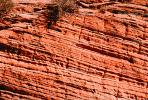 Sandstone Cliff, Zion National Park, NSUV05P04_16.2571