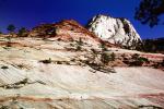 Sandstone Cliff, Zion National Park, NSUV05P05_04