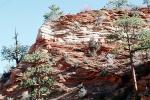 Sandstone Cliff, Trees, NSUV05P05_06