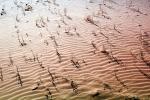 Shadow fractals. Ripples in the Sand, Coral Pink Sand Dunes State Park, Wavelets, NSUV05P06_12