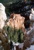 Bryce Canyon National Park, NSUV05P12_06