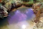 Ephemeral Pools, Water, Arches National Park, Pond, NSUV06P09_18