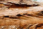 Sandstone Rock Strata, NSUV07P02_17.2571