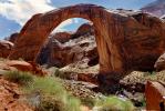 Arch, Sandstone, geoform, Rainbow Bridge National Monument, NSUV07P08_01