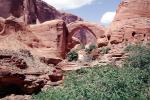 Arch, sandstone, geoform, Rainbow Bridge National Monument, Arch, Natural Bridge, NSUV07P08_03