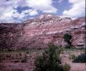 Capitol Reef National Monument, NSUV08P08_16