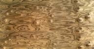 Wood Grain Texture, plywood