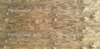Wood Grain Texture, plywood