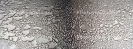 Water Drops, Droplets, Wet, Liquid, Panorama, NWED01_008B