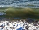 wave, swell, Water, Wet, Liquid, NWED01_019