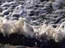 Splash, Sculpture, wave action, Liquid, H2O, wavelets, Wet, Water, foam, NWED01_035
