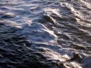 Wave action, Liquid, H2O, wavelets, Wet, Water, Pacific Ocean, NWED01_042