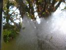 Water Droplets, Dew, Wet, Liquid, Water, NWED01_045