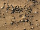 Sand, Dry, Dirt, Earth, Rocks, Pebbles, Arid, Drought, Dessicated, Parched