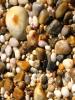 Shells, Beach, Rocks, Pebbles, Orient Point, Long Island, New York, Wet, Liquid, Water, NWED01_141