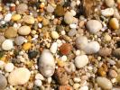 Shells, Beach, Rocks, Pebbles, Orient Point, Long Island, New York, Wet, Liquid, Water, NWED01_142