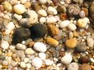 Shells, Beach, Rocks, Pebbles, Orient Point, Long Island, New York, Wet, Liquid, Water, NWED01_143