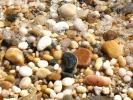 Shells, Beach, Rocks, Pebbles, Orient Point, Long Island, New York, Wet, Liquid, Water, NWED01_145