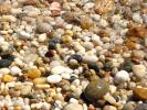 Shells, Beach, Rocks, Pebbles, Orient Point, Long Island, New York, Wet, Liquid, Water