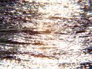 Wavelets, Sparkle, Wet, Liquid, Water, sun glint, NWED01_217