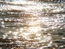 Wavelets, Sparkle, Wet, Liquid, Water, sun glint, NWED01_218