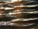 Waves, Wavelets, Sparkle, Wet, Liquid, Water, sun glint, NWED01_219