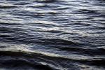 Water, Pacific Ocean, Waves, Calm, Peaceful, Wet, Liquid, Seawater, Sea, NWED01_258