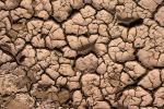 dry mud, Cracks, Cracked, interstices, transition, Arid, Drought, Dry, Dessicated, Parched, Dirt, soil, dried mud, cracked earth, Craquelure, NWED01_259