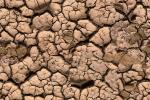 Dry Cracked Mud, dry mud, Cracks, Cracked, interstices, transition, Arid, Drought, Dry, Dessicated, Parched, Dirt, soil, dried mud, cracked earth, Craquelure, NWED01_259B