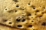 Bubbles Golden baked froth