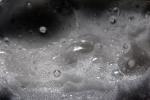 Bubbles, NWED02_027