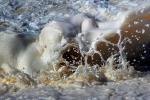 Momentary Water Sculptures, foam, waves, splash, NWED02_033