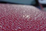 Water Drops on a car, NWED02_118