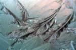 Ice Crystals, NWED02_155