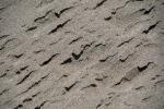 Crusty Sand, beach, NWED02_174
