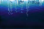 Water, Calm, Peaceful, Wet, Liquid, NWEPCD0653_056B