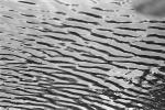Ripples, Wavelets, Wet, Liquid, Water, NWEPCD0658_062
