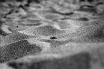 Sand, NWEPCD2609_039