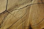 Cracks, Dirt, Contraction, Craquelure, NWEV01P11_16.2878